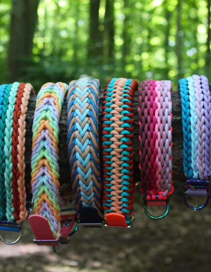 L'image présente une collection de colliers pour chiens colorés suspendus à une branche d'arbre, mettant en valeur leurs motifs vibrants sur fond de forêt. Ces accessoires de mode faits main par Cody Création sont exposés avec créativité dans un cadre extérieur, mêlant nature et expression artistique.