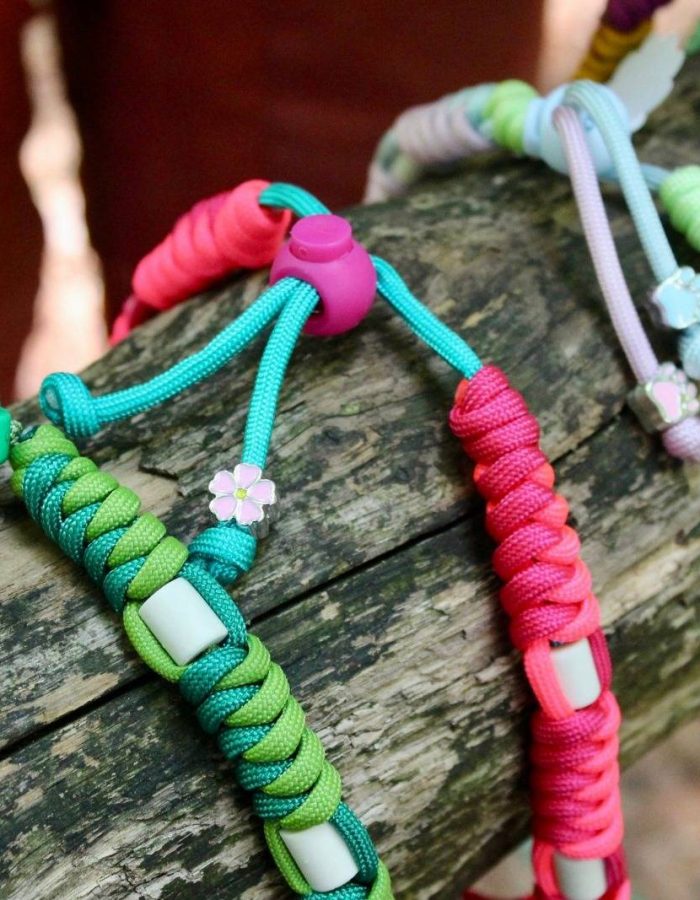 Un ensemble de colliers pour chiens colorés, faits main, est disposé avec art sur une bûche. Ces accessoires éclatants mettent en valeur différents styles de nœuds et éléments extérieurs, soulignant leur côté ludique et tendance.