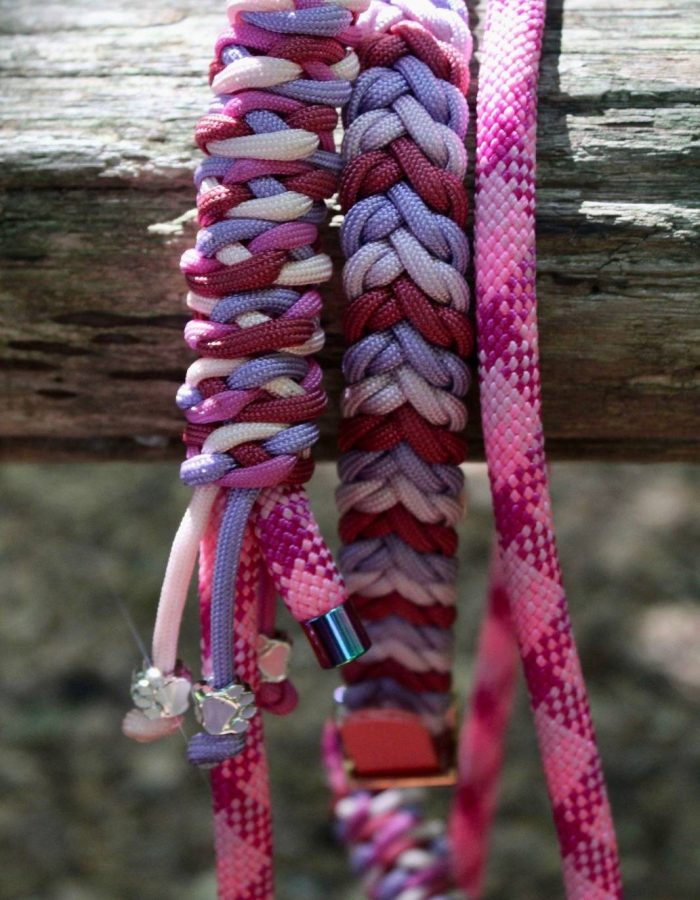 L'image présente un gros plan de laisses roses et violettes. L'accent est mis sur la texture et les détails des accessoires pour chiens.